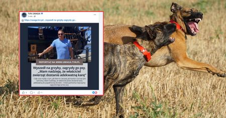 46-latka zagryzły owczarki. Partnerka zmarłego: "Marcin cierpiał"