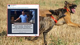 46-latka zagryzły owczarki. Partnerka zmarłego: "Marcin cierpiał"