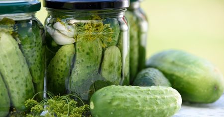 Legendarny przepis babci na ogórki małosolne. Będą pyszne i chrupiące
