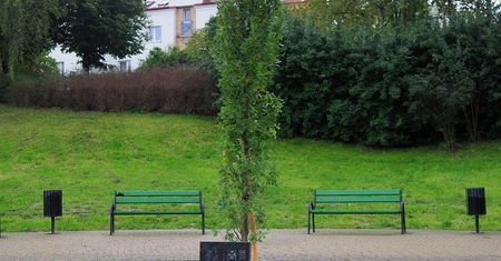Lublin. Posadzili dąb upamiętniający papieża Jana Pawła II
