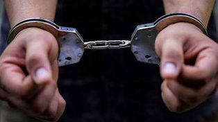 Rzeź alpak pod Pakością. Policja zatrzymała 47-latka na Mazowszu. To on mógł poderżnąć gardła zwierzętom