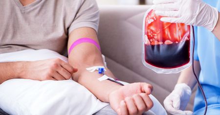 Transfuzja krwi - skład i funkcje krwi, wskazania, przebieg, preparaty krwi, powikłania
