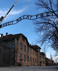 Skandaliczna aukcja w Niemczech. "Cyniczne i bezwstydne"