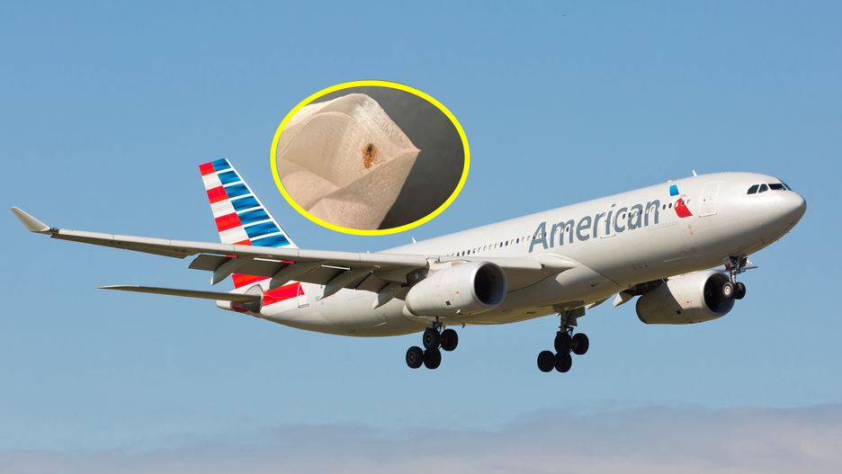 Pluskwa w samolocie American Airlines