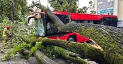 Ogromne drzewo zawaliło się na autobus. Są ranni