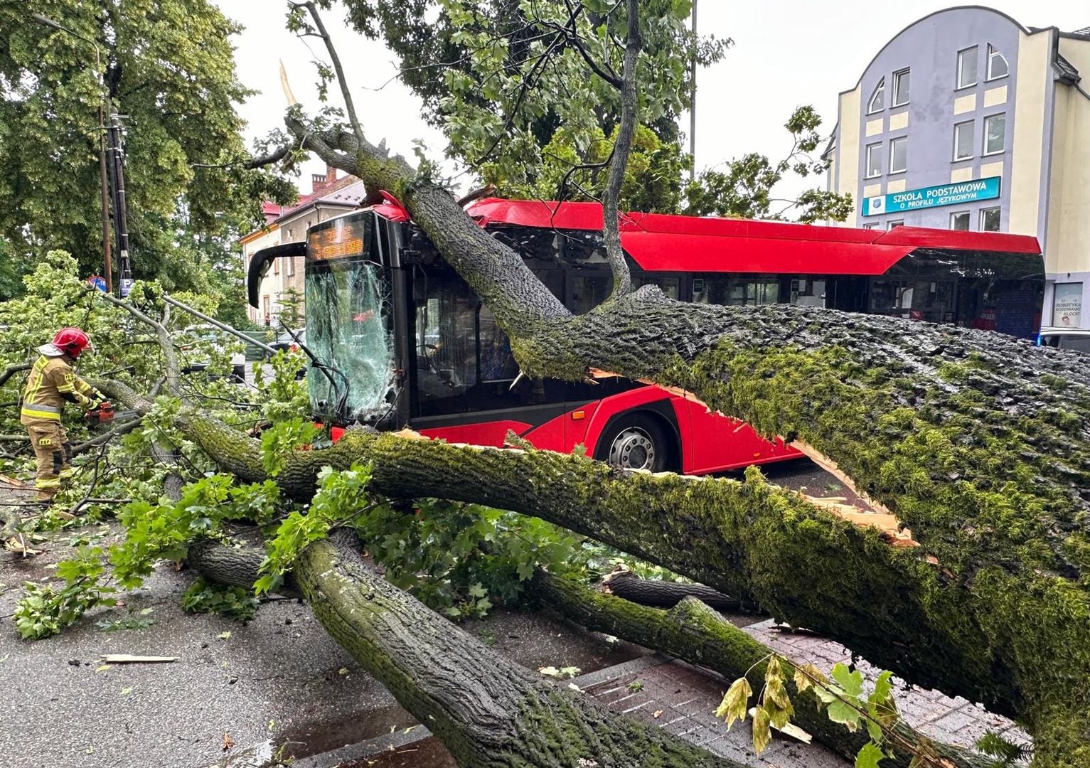 Ogromne drzewo zawaliło się na autobus. Są ranni