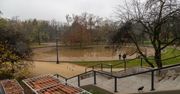 Łódź: Dlaczego Park Śledzia? Krótka historia nieoczywistej nazwy Parku Staromiejskiego