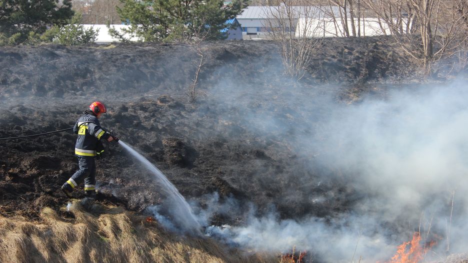straż pożarna, strażak, pożar, siano, dwie osoby, fotografika, guma, horyzontalny, ludzie, natura, obszar trawiasty, odzież ochronna, pole, polska, poważny, remiza strażacka, suchy, trawa, wyposażenie ratunkowe