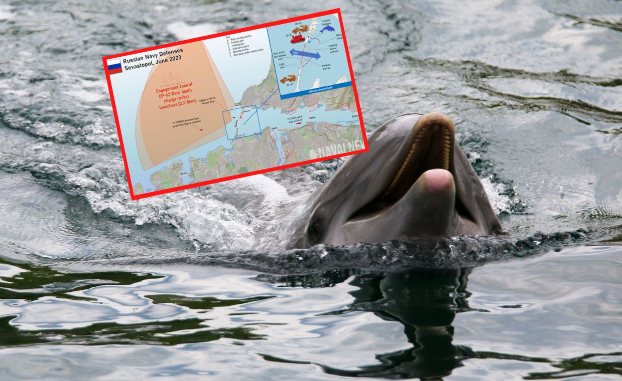 Delfiny zapolują na Ukraińców. Rosja wzmacnia obronę Krymu