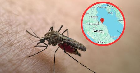 Niepokojące wieści o wirusie Denga w jesiennym "raju" dla Polaków