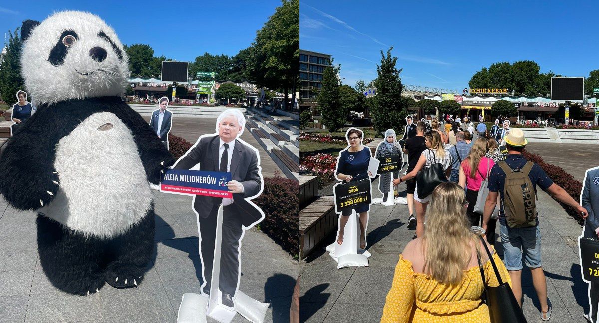 Postawili aleję milionerów PiS. Fala komentarzy do akcji KO