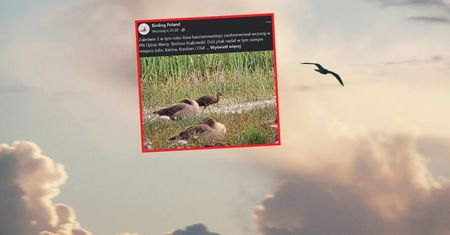 Odwiedził Polskę. To trzeci przypadek w tym roku