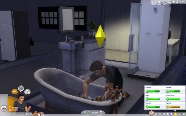 Poradnik do The Sims 4: Psy i koty - kąpiel zwierzaka