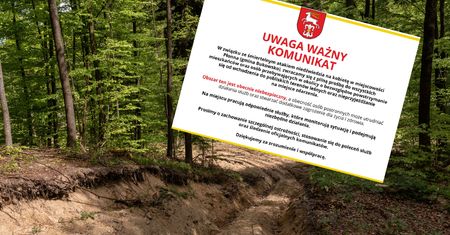 Niedźwiedź zabił 58-latkę. Gmina wydała ważny komunikat