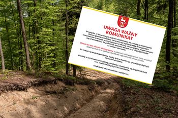 Niedźwiedź zabił 58-latkę. Gmina wydała ważny komunikat