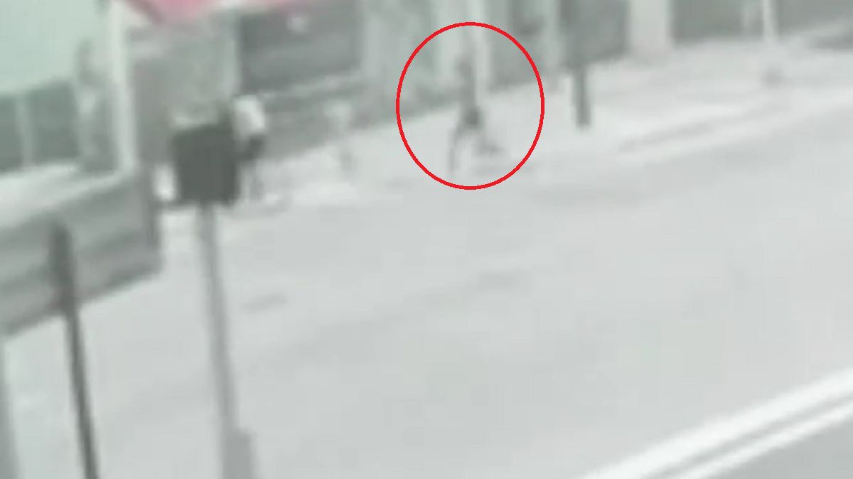 Daniela Ospina (screen, Instagram)