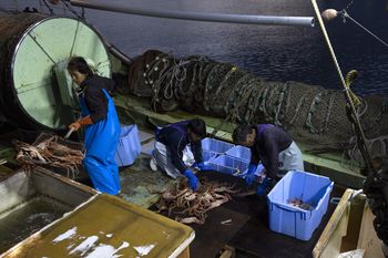 Japonia apeluje do rybaków o unikanie spornych wysp. Zagrożenie płynie z Chin