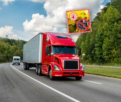 Zatrzymali 19 tys. kg produktów z Chin. W środku grasowały szkodniki