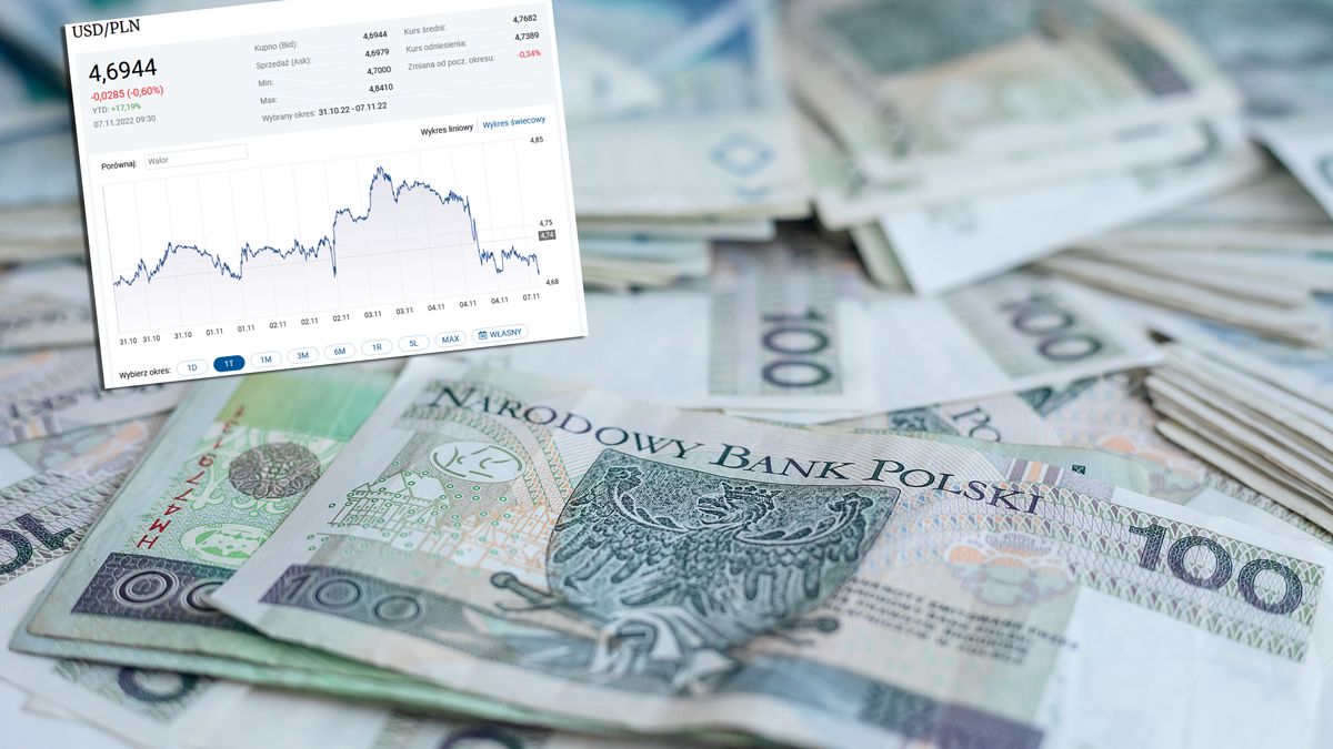 W ostatnich dniach złoty umacnia się w stosunku do dolara