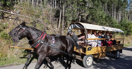 Koniec z bryczkami na Morskie Oko? "Rozwiązanie przynajmniej hybrydowe"