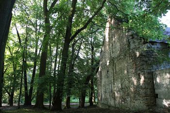 Kościelec: Park Pałacowy w rozsypce. Minął miesiąc od burzy