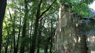 Kościelec: Park Pałacowy w rozsypce. Minął miesiąc od burzy