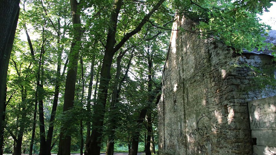 Park Pałacowy w Kościelcu