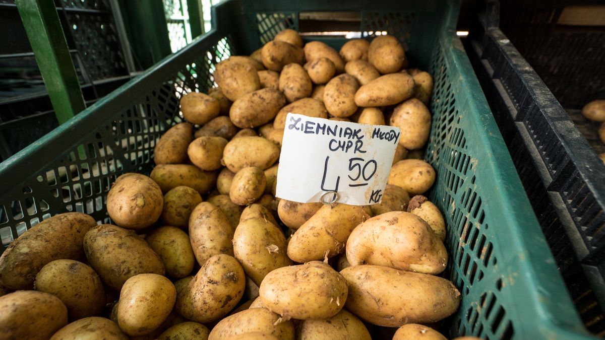 bazar ziemniaki warzywa