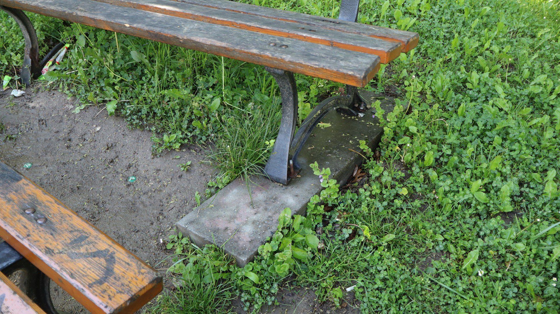 22.05.2025, Lipinki, Park Byszewskich, zniszczenia i usterki
Halina Gajda/Polska Press/Gazeta Krakowska
