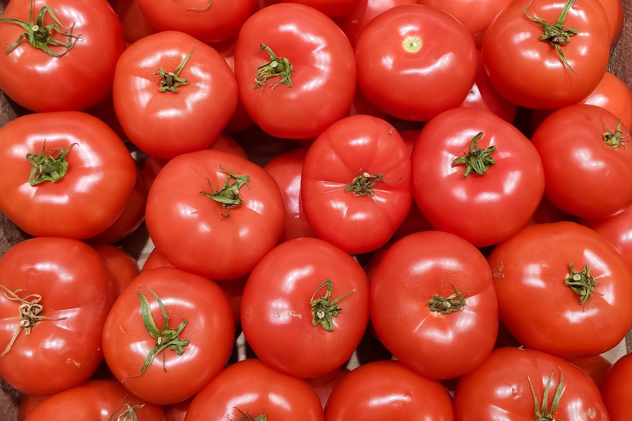 Tak wybierzesz najsmaczniejsze pomidory w sklepie. Wystarczy wykonać szybki test