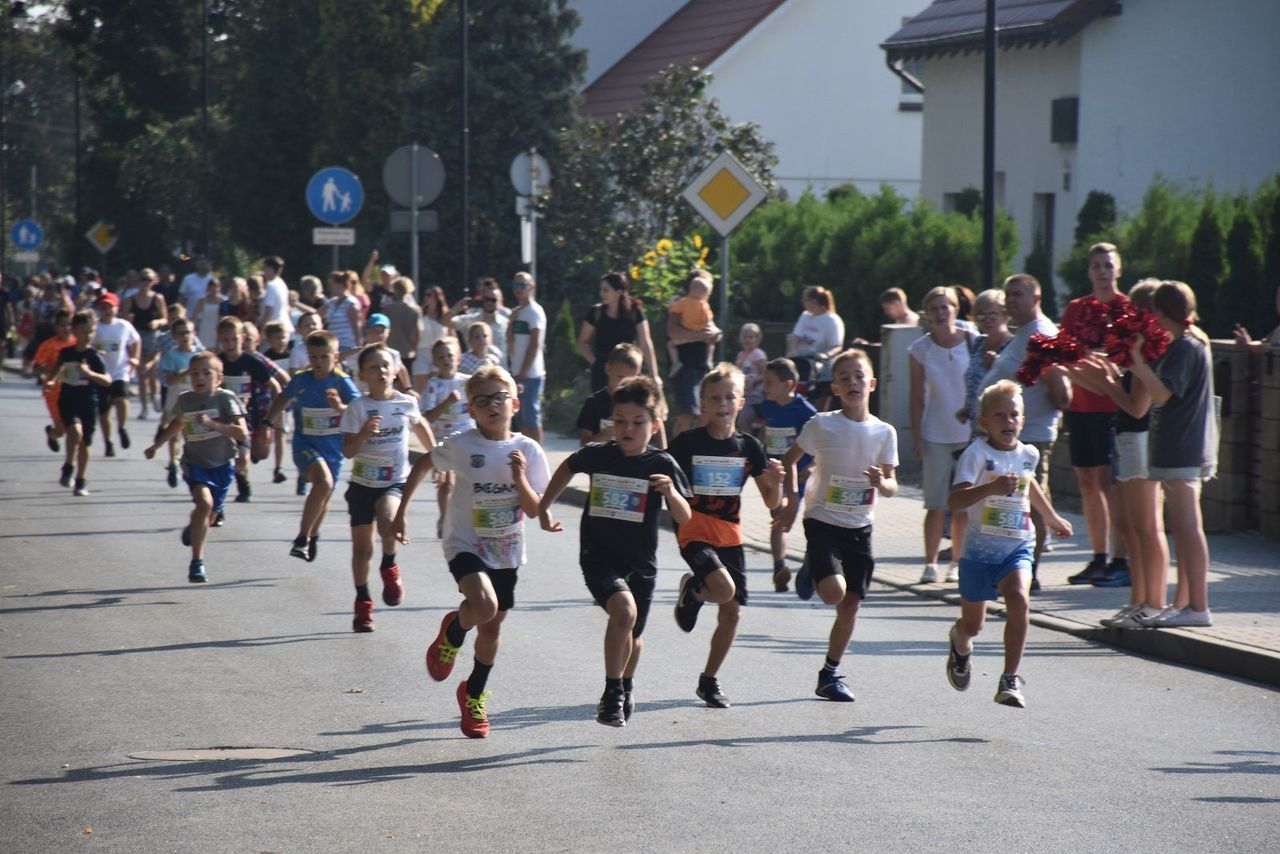 III Bieg Króla Władysława o Puchar Burmistrz Gminy Dobrzyca zbliża się wielkimi krokami. Trwają zapisy