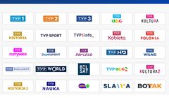 TVP z rekordową liczbą kanałów. Czy potrzebne są zmiany? "To rynkowa aberracja"