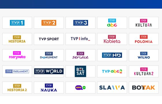 TVP z rekordową liczbą kanałów. Czy potrzebne są zmiany? "To rynkowa aberracja"