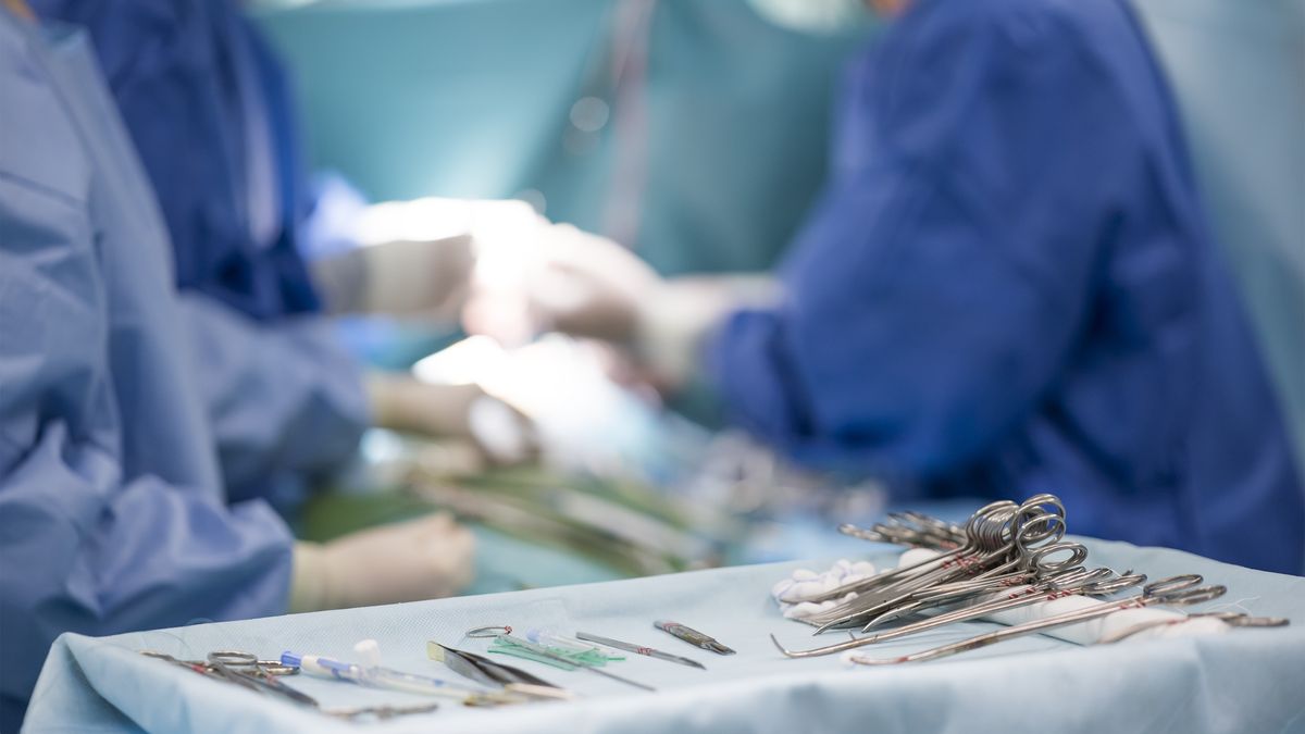 surgical instruments on the table during surgery
sterile surgical instruments on during the operation table amid the surgeons
faustasyan
Service, Student, Group of Objects, Group Of People, Clinic, Urgency, Clamp, Forceps, Therapy, Repairing, Hygiene, Glove, Mask - Disguise, Wealth, Rescue, Teamwork, Care, Concepts, Blue, Steel, Metal, Healthcare And Medicine, Human Face, Human Hand, Surgeon, Doctor, Paramedic, People, Domestic Room, Hospital, Work Tool, Medicine, Scalpel, Equipment, Surgery, Protective Workwear, Uniform, Table, Team, Veterinary Medicine, Assistant