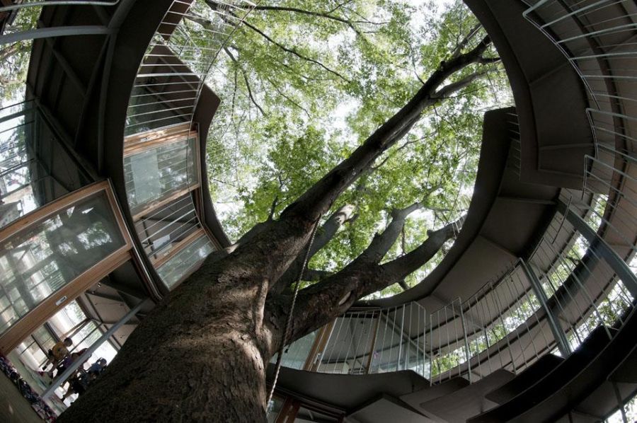 Rok 2011 w architekturze według magazynu "Domus" 7