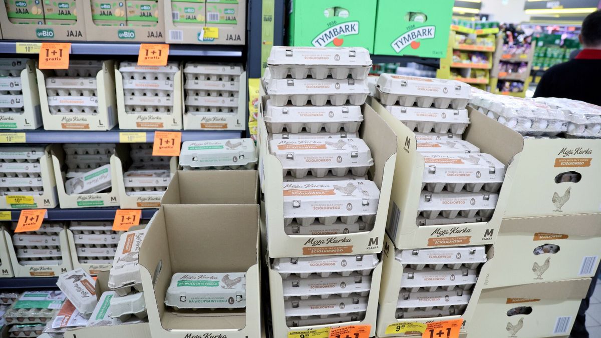 Polacy zapłacą więcej za jajka. Niemcy już wprowadzają limity sprzedaży