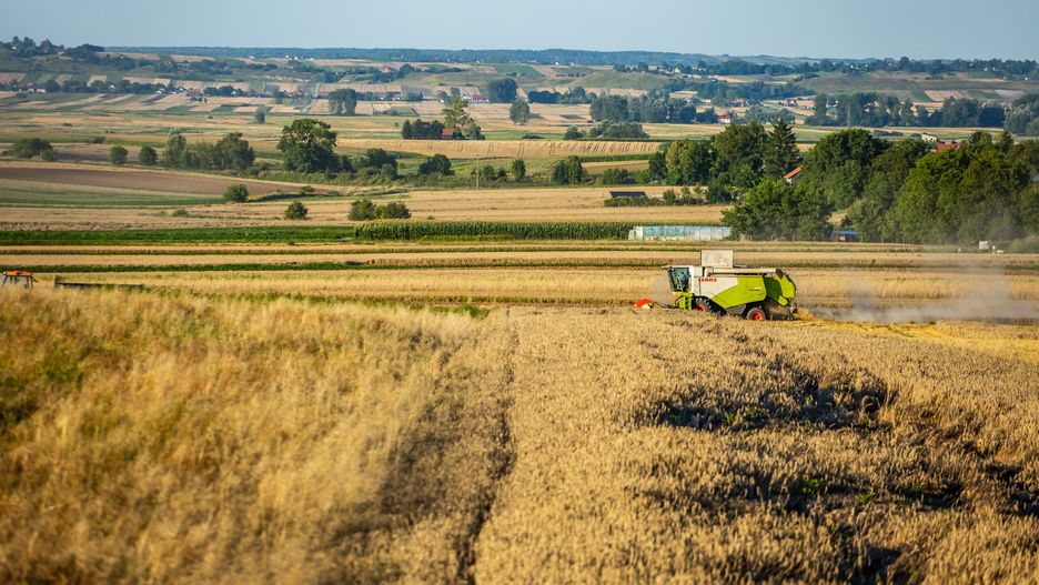 żniwa Claas w świętokrzyskim / 2023