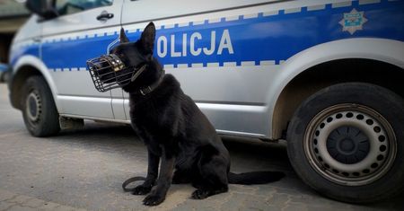 Na widok policjantek zaczął uciekać. Na szczęście był z nimi "Demon"