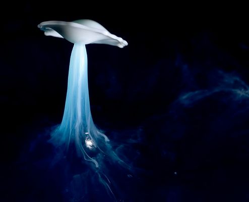 Ułamek sekundy zatrzymany w kadrze - najlepsze fotografie High Speed 27