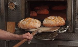 Działali 157 lat. Rodzinna, niemiecka piekarnia upada. Oto powody