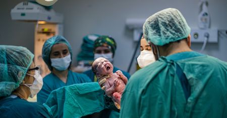 Holandia. Ginekolog biologicznym ojcem 17 dzieci