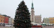 Zamość: Będą trzy choinki. Prezydent o dekoracjach na Rynku Wielkim