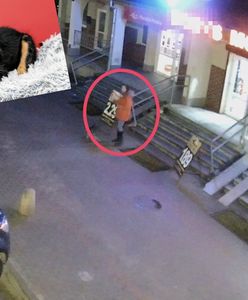 Porzucony szczeniak w Elblągu. Policja poszukuje kobiety z nagrania