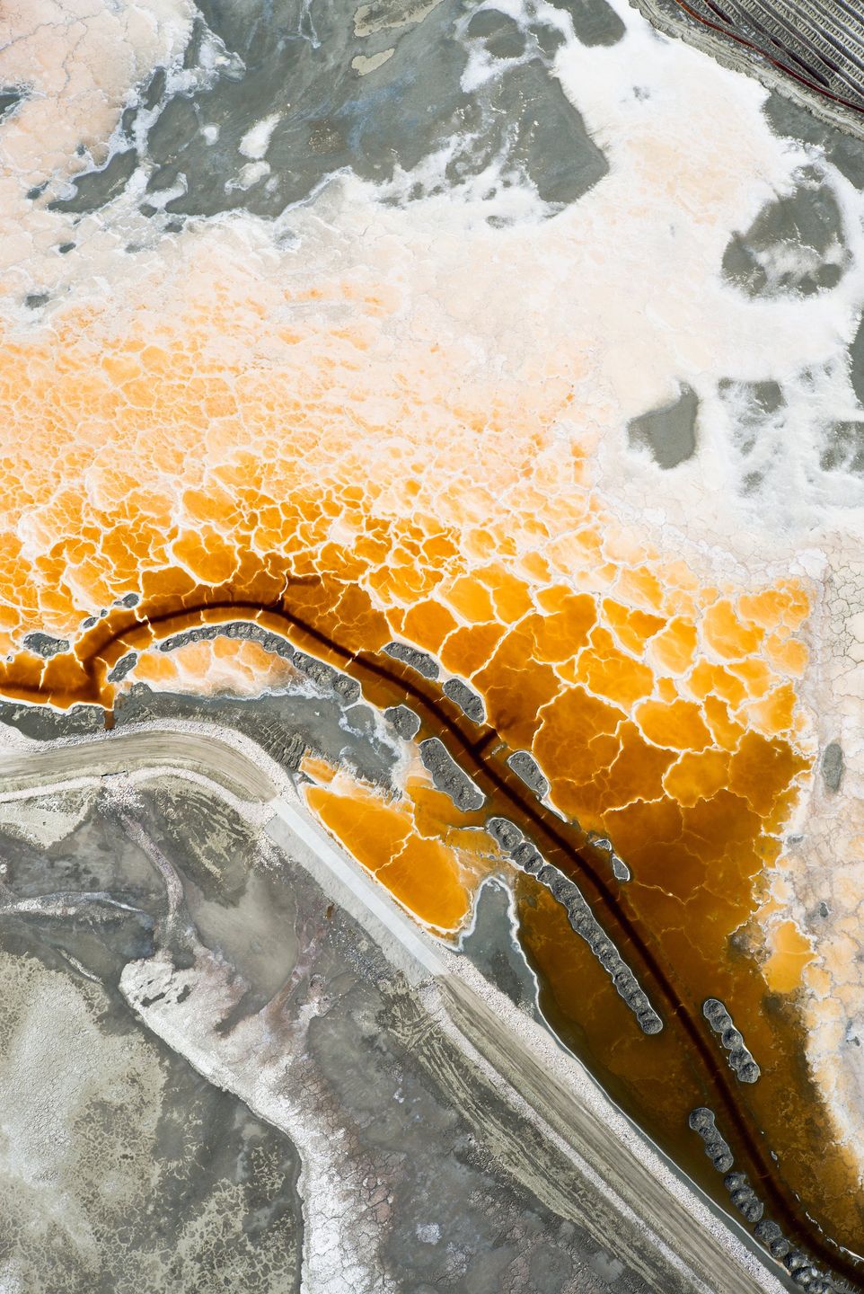 Zmiany na świecie i ważne problemy geopolityczne na zdjęciach Syngenta Photography Award 2016-17 9