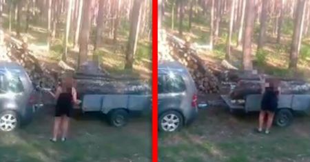 Myśleli, że nikt ich nie widzi. Kamera w lesie wszystko nagrała