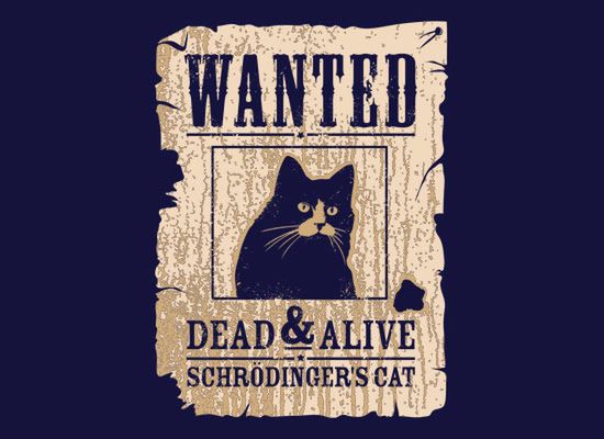 Lovecraft, zombiaki i piękne panie. 20 najfajniejszych koszulek na listopad 11