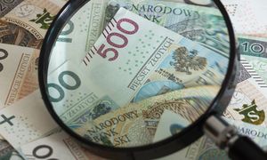 Co dalej z kredytami i kursem złotego? Dwa głosy z serca RPP