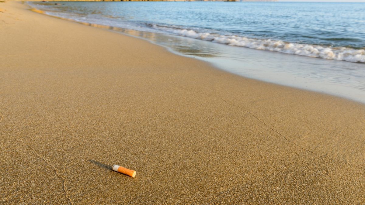 Francja zmienia prawo. Chodzi o szkoły i plaże