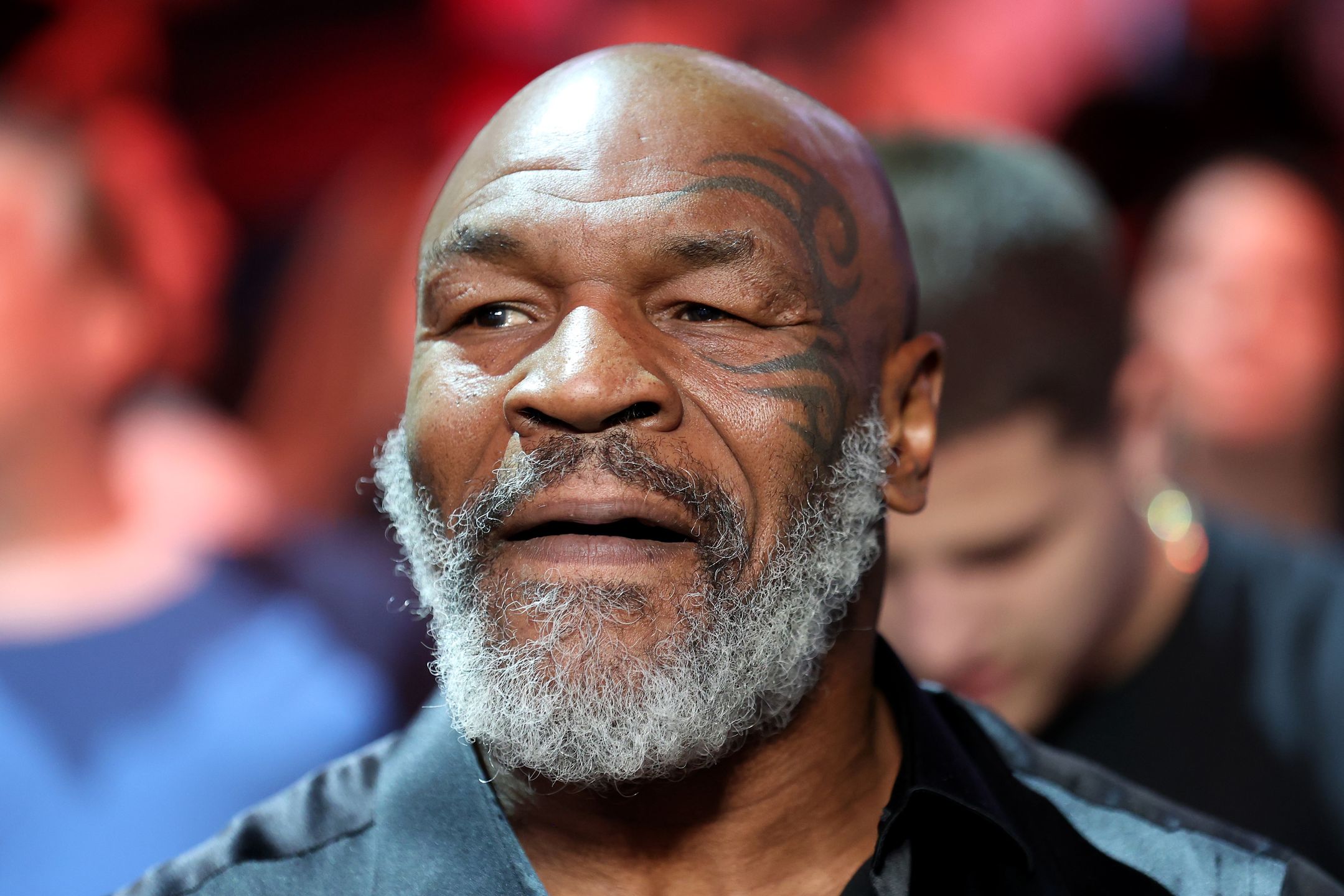 Mike Tyson roztrwonił 500 mln dolarów majątku