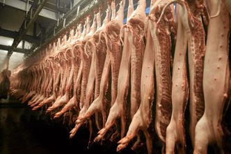 Właściciel słynnych Zakładów Mięsnych "Zbyszko" oskarżony o milionowe oszustwa. W tle ubój rytualny